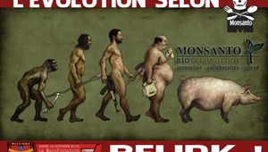 Monsanto : les 10 abominations